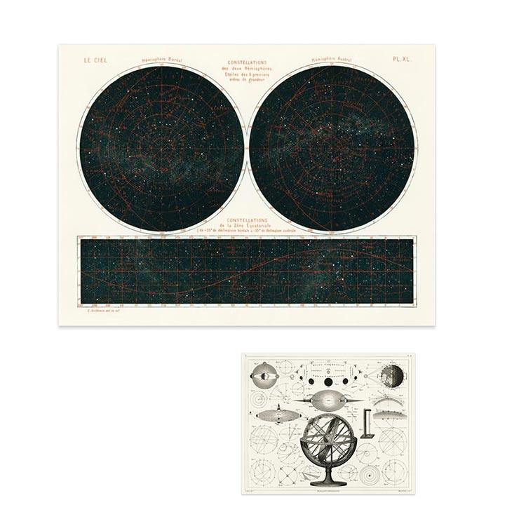 liveart南北半球星座星系复古档案图谱原版装饰画Constellations