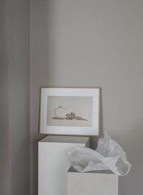 进口丹麦Alium*MICHAEL RYGAARD植物艺术原版装饰画ZAMBEZI RIVER