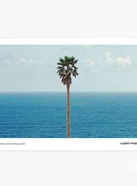 进口瑞典moderna museet 棕榈树海景 简约现代 原版装饰画海报