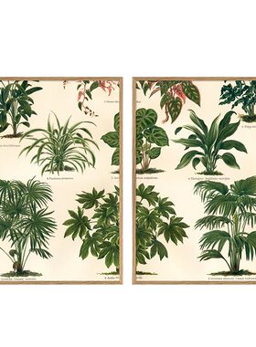 丹麦植物美式风客厅海报装饰画