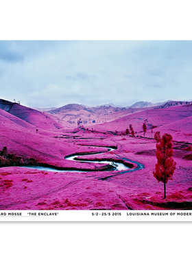 进口丹麦路易斯安那RICHARD MOSSE紫色大地海报装饰画THE ENCLAV