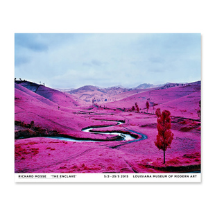 进口丹麦路易斯安那RICHARD MOSSE紫色大地海报装饰画THE ENCLAV