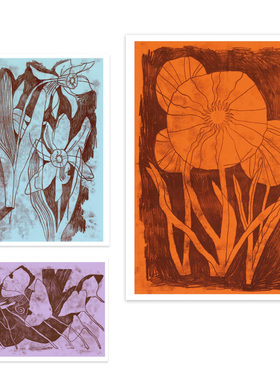 BIRTHE JANSSENS进口丹麦the poster club素描花卉原版装饰画