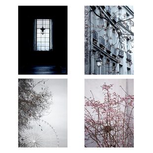 装 进口丹麦the 饰画 MORK巴黎街景城市风景原版 HILDE poster club