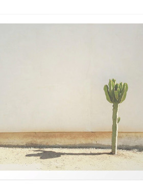 liveart进口美国 灰色仙人掌Cactus 北欧风复古美式原版装饰画
