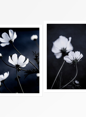 liveart 德国艺术家Mareike 蓝色野花客厅卧室原版装饰画海报挂画