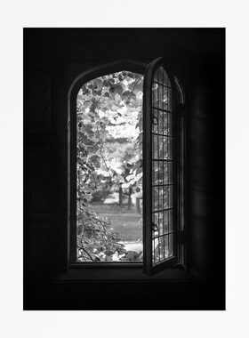 liveart  黑色房间窗户花园 黑白原版装饰画挂画画芯
