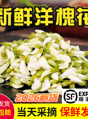 【顺丰】2026新鲜槐花现摘洋槐花骨朵野菜蔬菜槐花蒸菜顺丰包邮