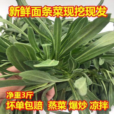 【顺丰】面条菜新鲜野菜5斤露天羊蹄棵当季食用蒸菜苏北现挖发货|msdalam kategori daging perikanan/Buah-buahan segar dan sayur-sayuran/dimasak, sayur-sayuran segar/Vegetable Products, sayur-sayuran segar, lain - dari Buy2taobao.com untuk memberikan perkhidmatan ejen Taobao profesional membeli