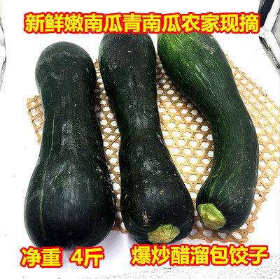 现摘嫩南瓜8斤 收藏加购优先发货