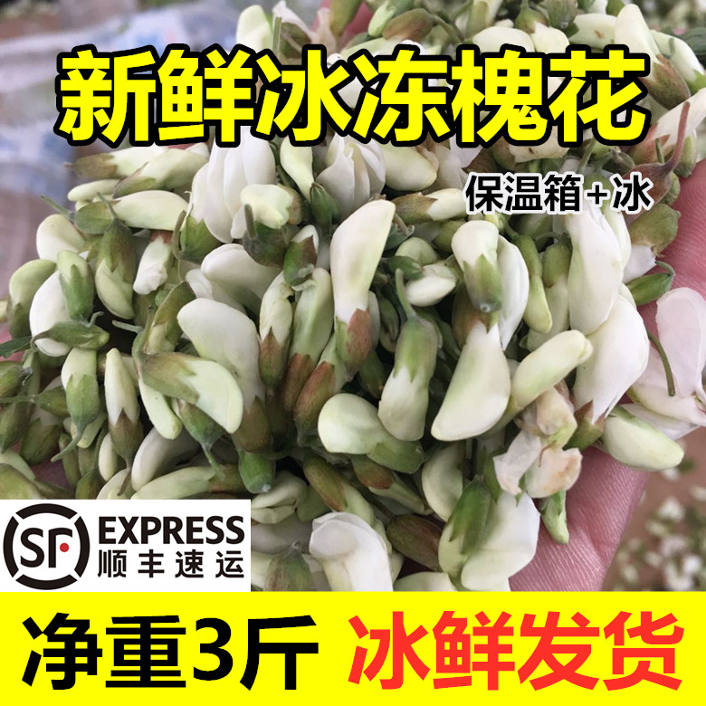 2026新鲜冰冻槐花洋槐花花骨朵槐花野菜蒸菜顺丰包邮冷冻发货顺丰