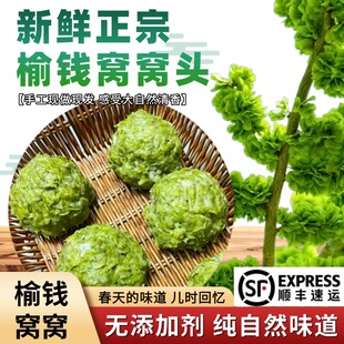 榆钱窝窝头新鲜现摘现做头茬野菜团子馒头早餐速食榆钱馍顺丰包邮