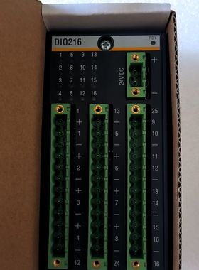 巴赫曼DIO216数字输入输出模块 带 型号DIO2