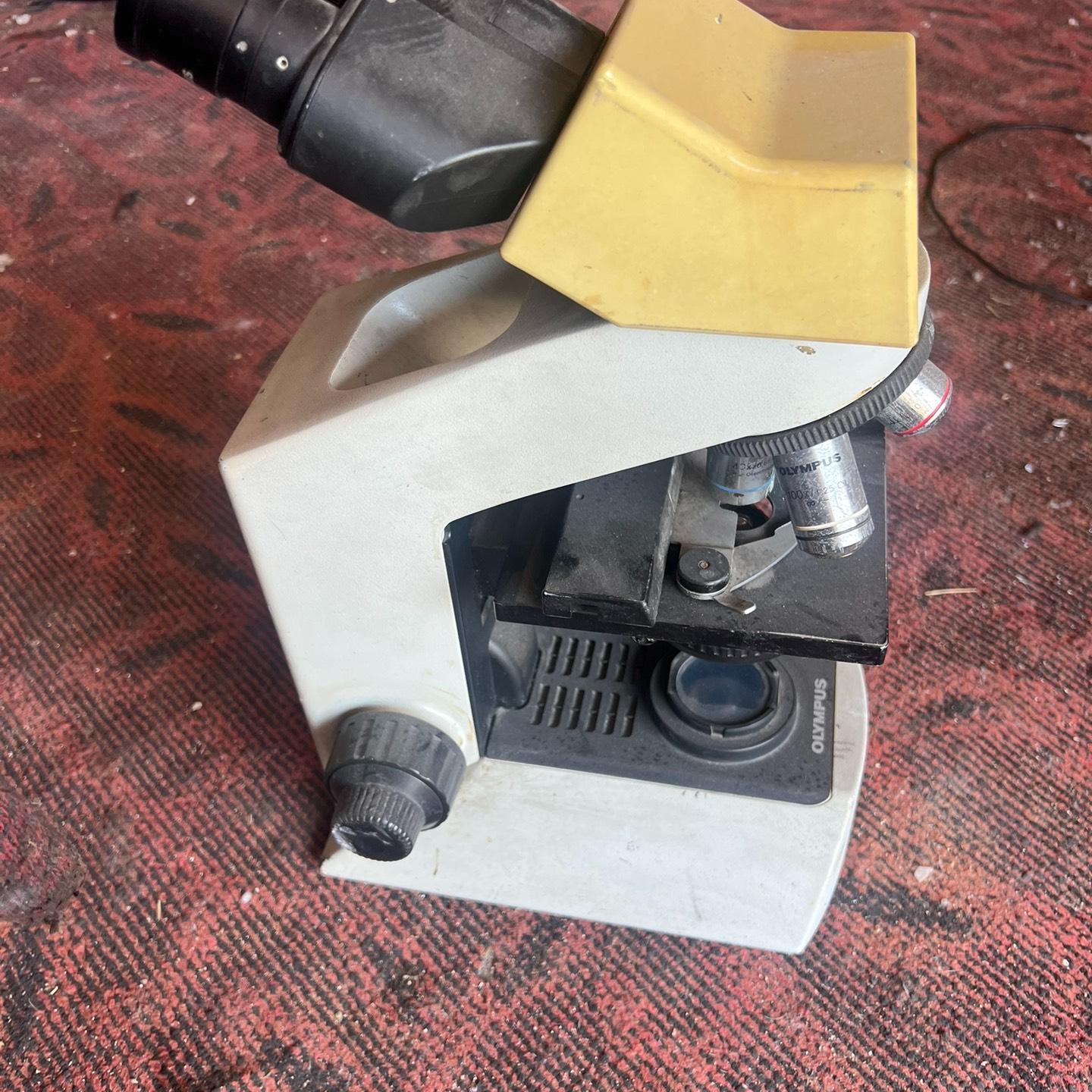 奥林巴斯CX21照片实物照片光路不通电其它还好