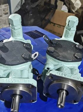 德国Rickmeier油泵 拆机 成色还不错 外观有