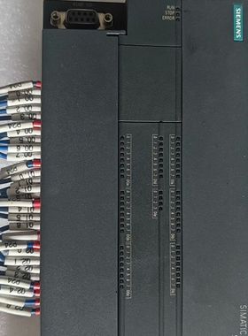 SR60 200smart PLC 288-1S