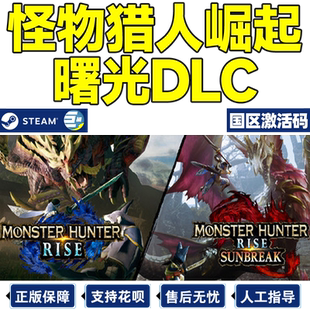 steam 怪物猎人崛起 国区CDkey激活码  PC游戏正版 现货秒发