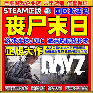 steam国区激活码 DAYZ 僵尸末日steam 僵尸末日 cdkey dayz激活码