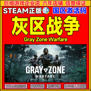 Zone Gray Warfare 国区激活码 PC游戏 steam游戏 CDKey 灰区战争