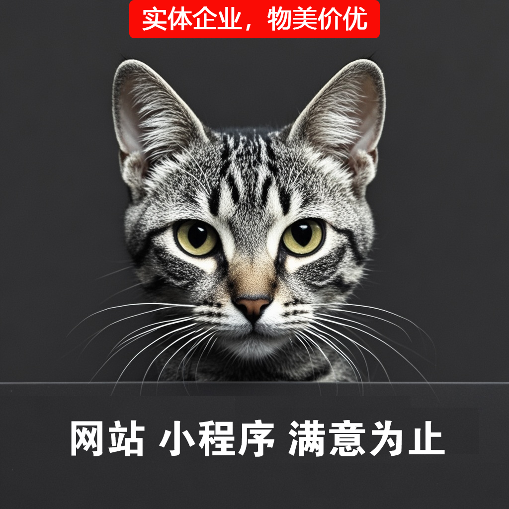 和猫小程序网站企业系统定制公众号制作工厂庆典活动APP平台系统