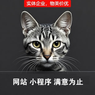 网站建设公司小程序商城年会抽奖软件庆典开业活动签到转盘系统