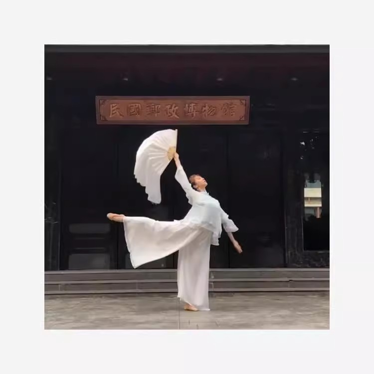 梁祝扇舞演出服女艺考古典舞服装民族服装/舞台装