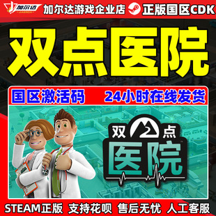 Hospital Point Two cdkey PC中文正版 國區激活碼 steam雙點醫院
