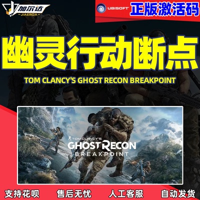 正版育碧激活码幽灵行动断点