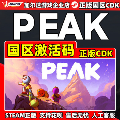 Steam PEAK 拉我一把 国区激活码CDKEY 正版PC游戏