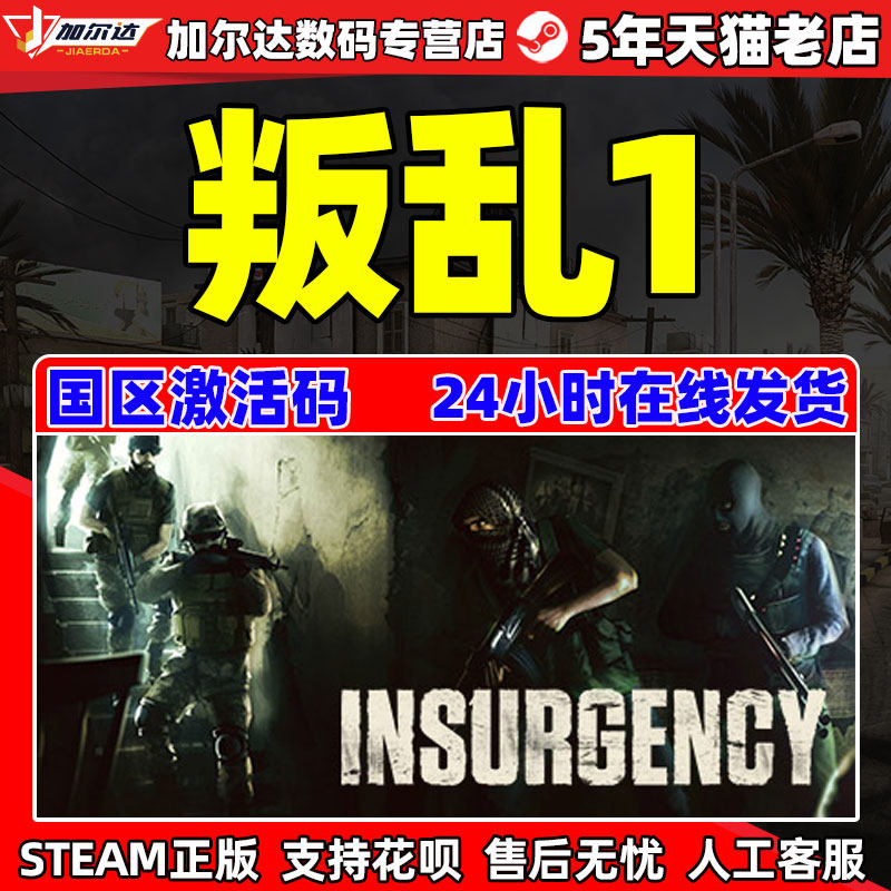 steam 叛乱  insurgency 叛乱1 pc中文正版 国区激活码 cdkey