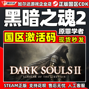 Steam游戏 黑暗之魂2 原罪学者 DARK SOULS II 国区激活码CDKey