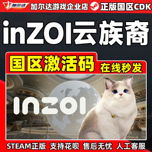 正版 inzoi inZOl云族裔 游戲 CDKey PC正版 國(guó)區(qū)激活碼 Steam