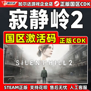 HILL 国区激活码 Steam游戏 PC正版 SILENT CDKey 游戏 寂静岭2