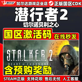 國區激活碼 切爾諾貝利之心 潛行者2 現貨 正版 PC游戲 CDKEY Steam