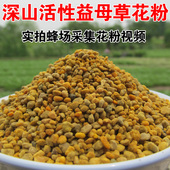 女性良友 益母草花粉纯正天然蜂花粉新鲜250克正品 包邮