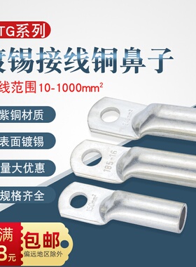 DTG镀锡铜接线端子电缆接头管压加厚铜鼻子2.5 4 6 16 25 120 240