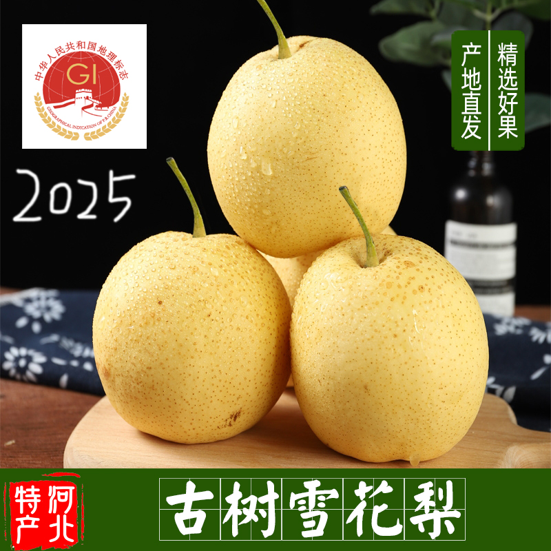 包邮赵县雪花梨河北新鲜时令水果
