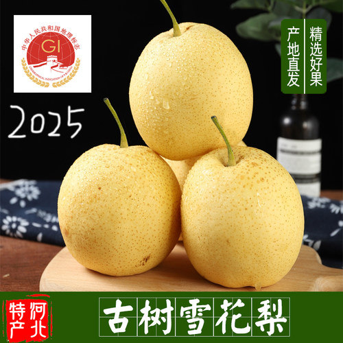 包邮赵县雪花梨河北新鲜时令水果