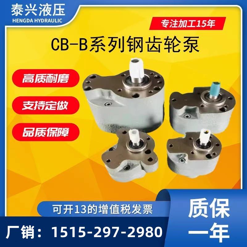 新款CB-B10/B6/B4/B16/20/B25/B32/B40/50/B63/B80/B125F钢齿现货