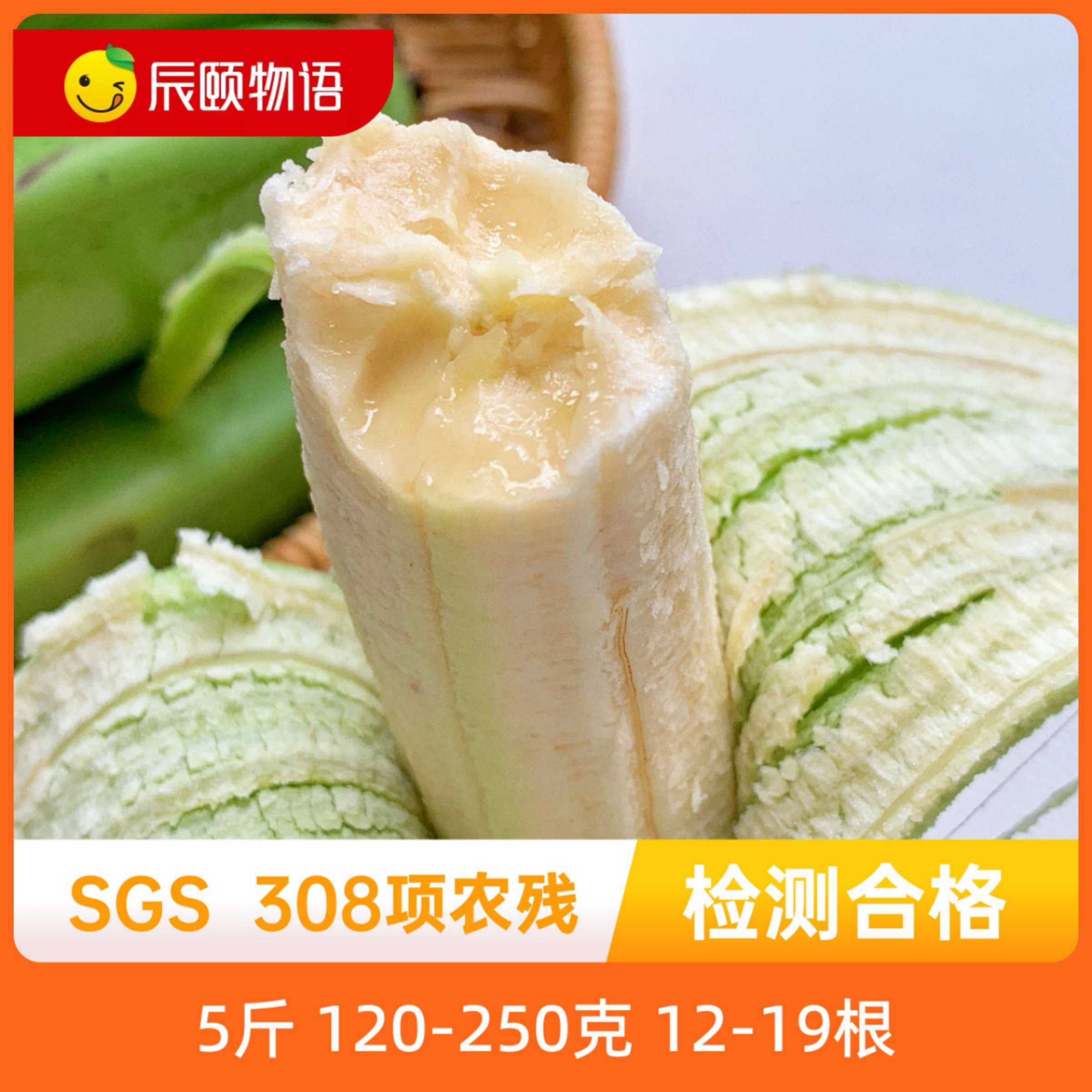 辰颐物语云南威尼斯绿皮香蕉5斤自然熟香蕉当季新鲜水果产地直发