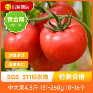 辰颐物语爱琴海番茄中大果4.5斤装当季新鲜水果现摘自然熟番茄