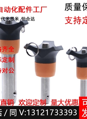 快速定位销M5 6 8 10球头锁紧销BLP5 6 8 10 13 16-10 20 30 40