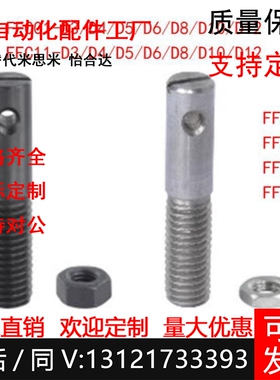 拉伸弹簧支柱FFC/FFD/FFE/FFG/H/J/K/L/P01/11-D3/4/5/6/8/12-L20