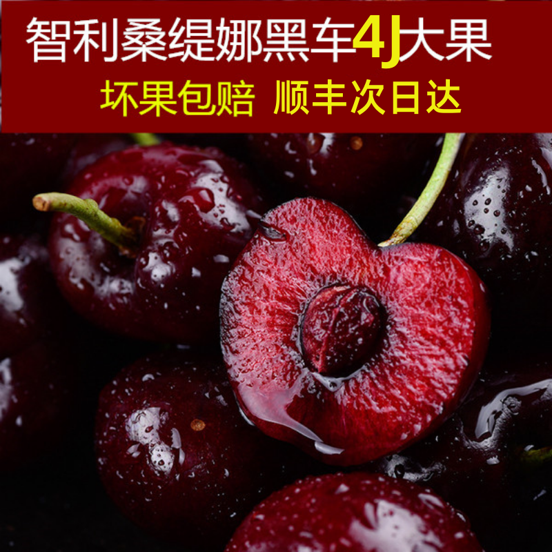 桑提娜智利进口车厘子鲜果礼盒装大樱桃新鲜水果顺丰包邮5斤,水产肉类/新鲜蔬果/熟食,车厘子/樱桃,淘宝优惠券,粉丝福利购,淘宝优惠卷