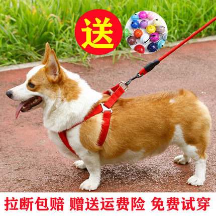 狗狗牵引绳大中型小型犬胸背带狗绳狗链子狗项圈泰迪金毛宠物用品