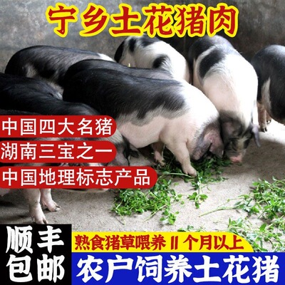 宁乡花猪前腿肉五花肉猪排骨筒子骨梅花肉猪脚农家散养顺丰包邮
