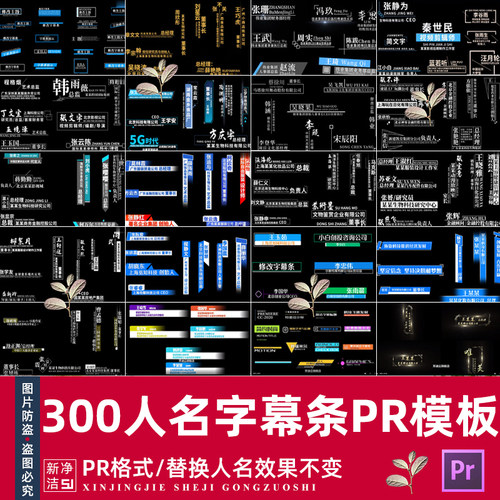 PR模板人名字幕条新闻字幕条电视栏目标题文字播报人物介绍素材