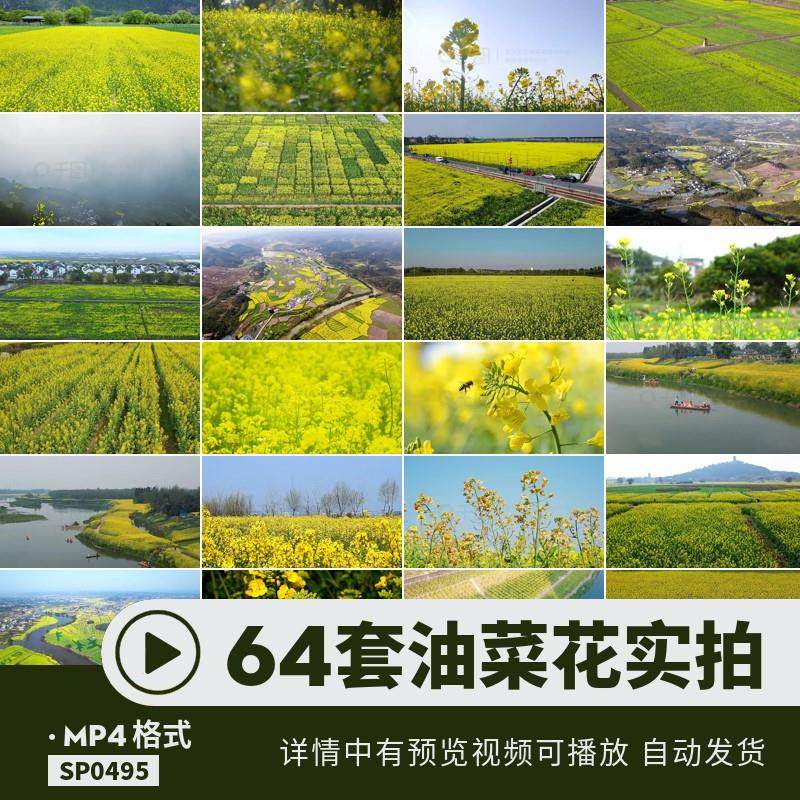 油菜花视频mov超高清大自然mp4田野户外人物空镜头航拍剪辑素材,商务/设计服务,设计素材/源文件,淘宝优惠券,粉丝福利购,淘宝优惠卷