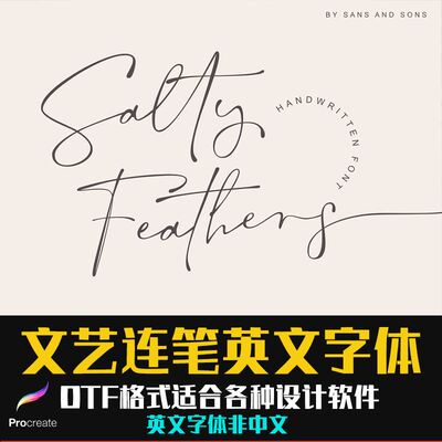 Procreate文艺手写连笔英文字体钢笔个性签名logo标识字体排版