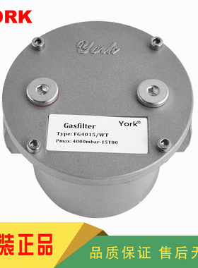 York约克FG4015WT FG4025WT FG4040WT FG4065FT FG4080燃气过滤器
